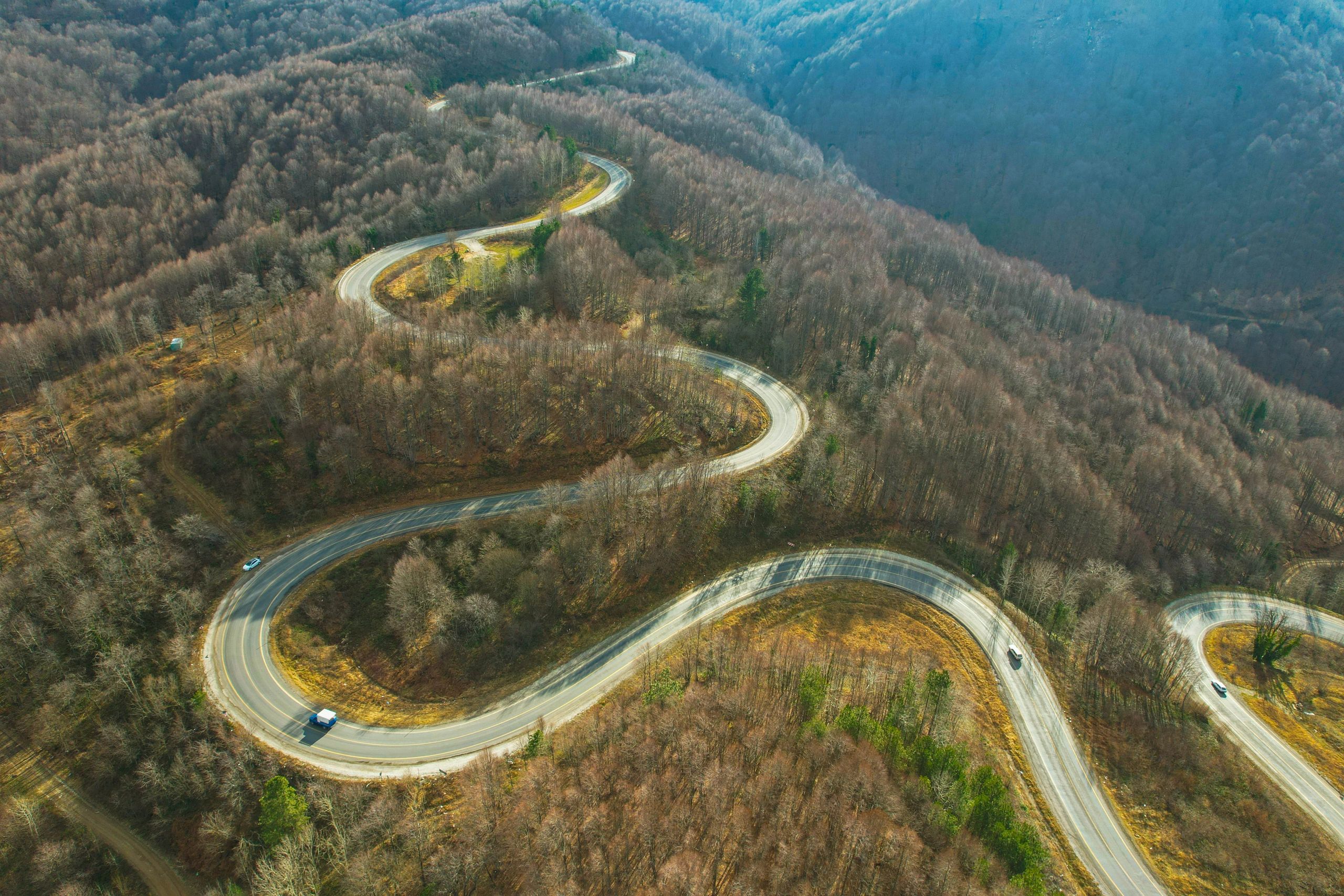Curving mountain road through forest