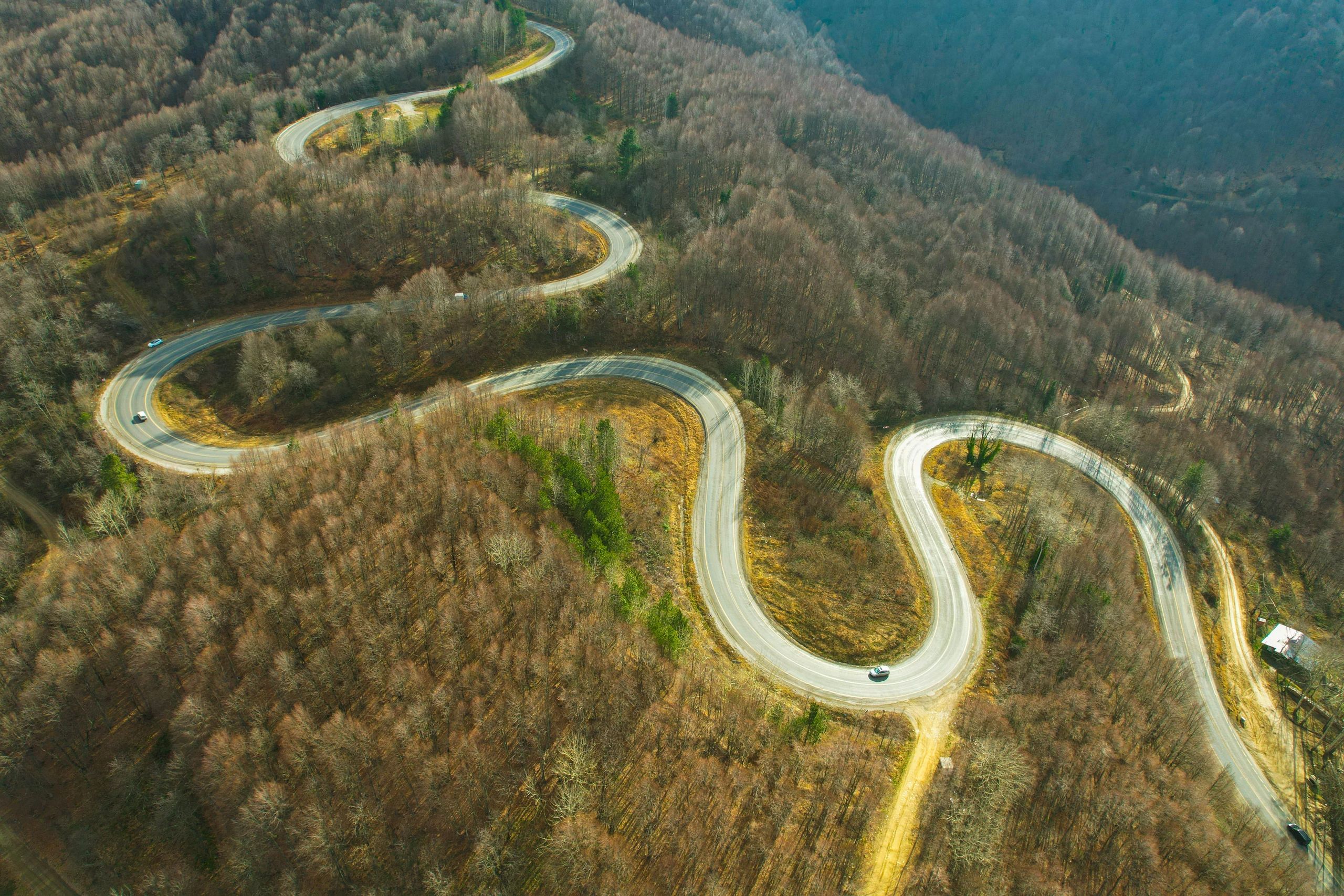 Curving mountain road through forest