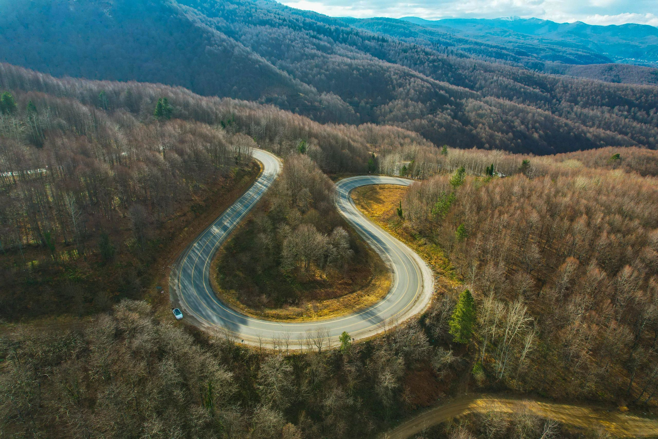 Curving mountain road through forest