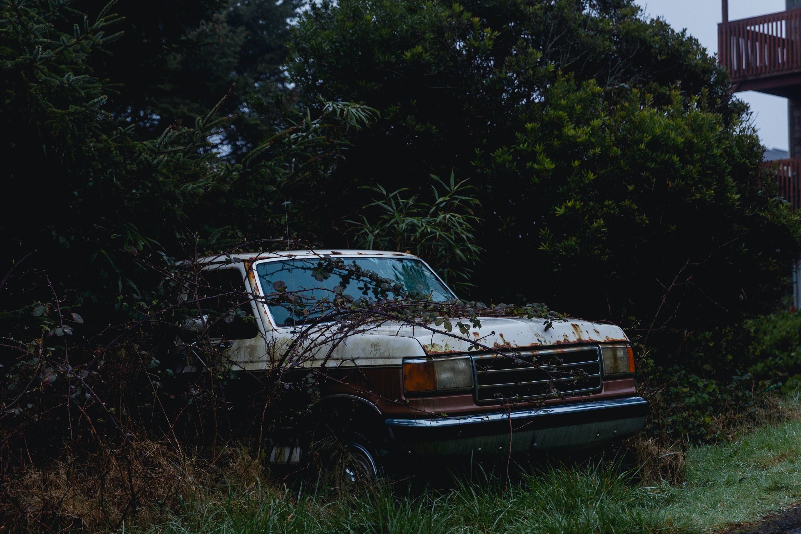 Vintage American truck full-body wide shot overgrown with nature